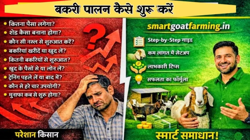 बकरी पालन कैसे शुरू करें – Smart Goat Farming Guide