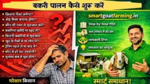 बकरी पालन कैसे शुरू करें 2026 – पूरी प्रैक्टिकल गाइड (लागत, शेड और कमाई)