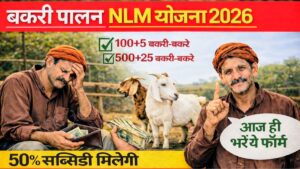 NLM Yojana 2026: Goat Farming Subsidy, Loan, Eligibility & Apply Process (Complete Guide)
