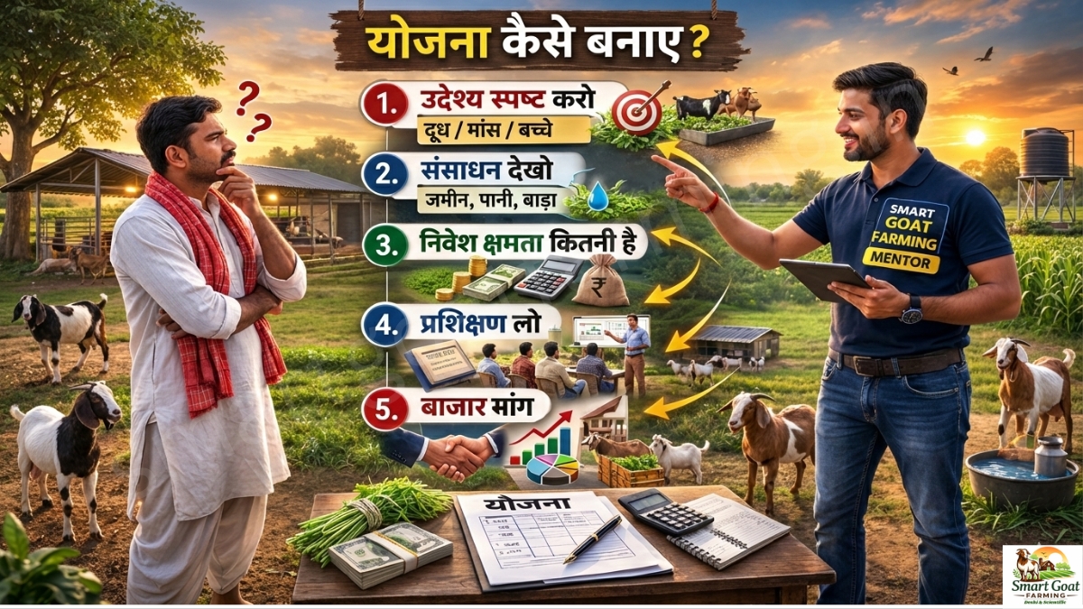 बकरी पालन योजना कैसे बनाएं – Goat Farming planning के लिए उद्देश्य, संसाधन, निवेश और प्रशिक्षण के चरण